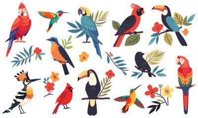 Tropical birds. Parrots hummingbird red cardinal hoopoe. Paradise exotic bird of tropical jungle brazil or colombia. Wildlife hawaiian flying characters isolated vector set