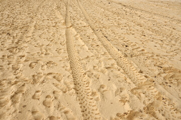 Traces of people and vehicles in the sand.