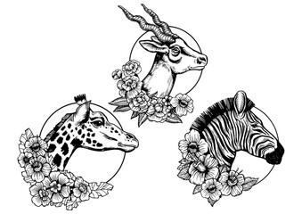 Antelope Zebra Giraffe heads animal set tattoo with flowers sketch engraving PNG illustration. T-shirt apparel print design. Scratch board imitation. Black and white hand drawn image.