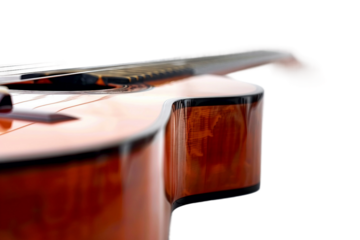 Professional Guitarist Playing Electric Guitar Isolated on Transparent Background