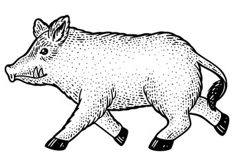 Running wild boar sketch engraving PNG illustration. T-shirt apparel print design. Scratch board imitation. Black and white hand drawn image.