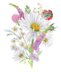 Bouquet of flowers with daisies and herbs isolated on white background