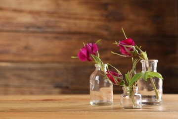 Beautiful roses in glass bottles on wooden table, space for text