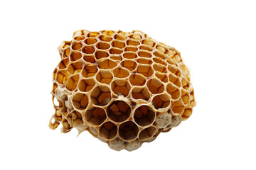 Beehive Full of Honeycombs Isolated on Transparent Background