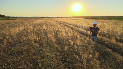 Agricultural engineer using technology tablet to check crop quality. Future job