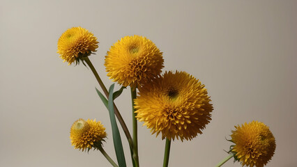 Attractive yellow flowers with fine petals and green stems against a soft-colored background