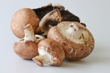Close-up Images Of Brown And White Mushrooms On A White Background