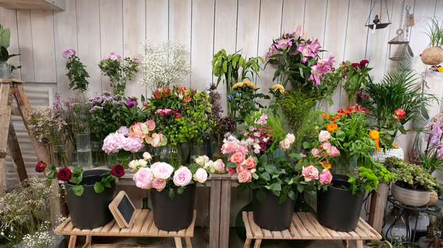 plantes chez le fleuriste