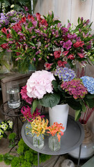 hortensia dans un vase