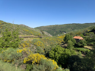 Serene countryside with a stone house amidst lush greenery under a clear blue sky