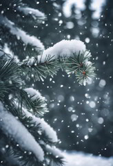 Snow Fell on the Pine Trees for Winter Background