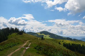 Scenic landscape view of grass-covered hills and dirt path under a partly cloudy sky. Tranquil...
