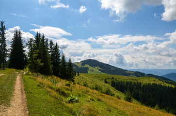 Fototapeta premium Scenic landscape view of grass-covered hills and dirt path under a partly cloudy sky. Tranquil natural beauty, travel, hiking, or peaceful outdoor experiences. Carpathian Mountains, Ukraine