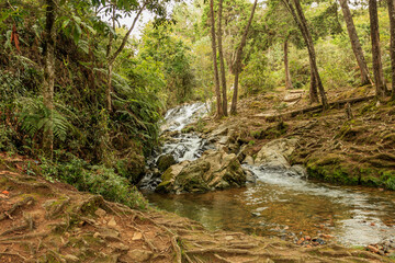Small stream with a small waterfall flowing through the woods around Antioquia, Colombia