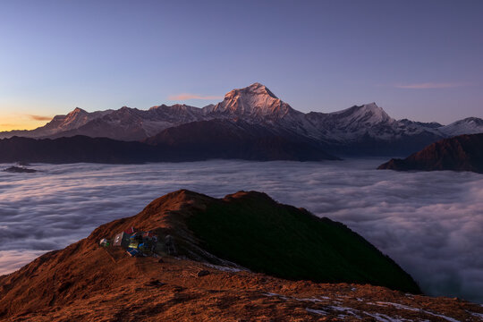 Khopra Ridge Sunset, Annapurna Sanctuary Nepal. Spectacular view of Dhaulagiri, 8167m Himalayan snow mountain rising above the sea of clouds. Trekking route, community operated lodge. Khopra Danda