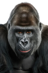 Obraz premium Isolated PNG Ape Wildlife, GENERATIVE AI