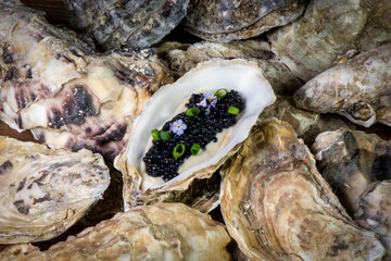Caviar in oyster