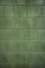 Stone wall with green mold