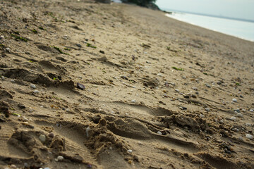 footprints on the beach