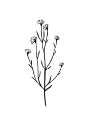 Flowers and greenery