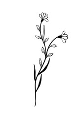 Flowers and greenery