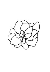 Flowers and greenery