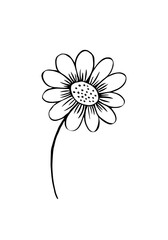 Flowers and greenery