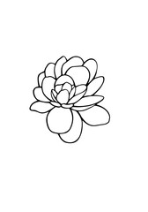 Flowers and greenery