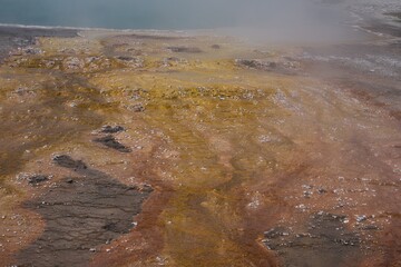 Geyers with color algae covering the rocks in Yellowstone park in Wyoming, USA