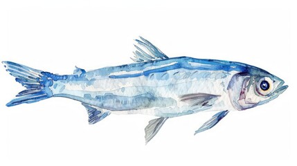 Fototapeta premium A tiny watercolor clipart of an anchovy in shades of silver on a white background