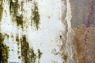 Old rusty metal surface with green moss.