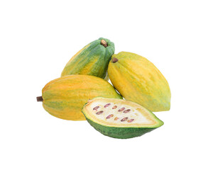 cocoa fruit  isolated  on transparent  png