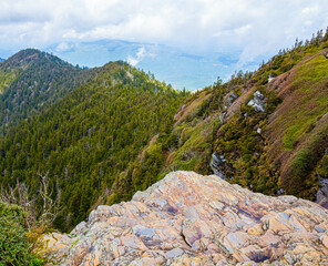 View From Cliff Top Viewpoint on Mt. LeConte, Great Smoky Mountains National Park, Tennessee, USA