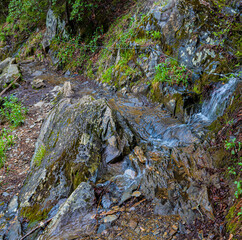 Water Running Across The Narrow Alum Cave Trail, Great Smoky Mountains National Park, Tennessee, USA