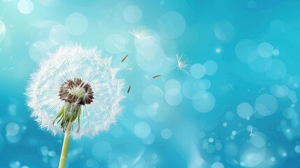 Beautiful white dandelion on blue background with copy space. Illustration AI
