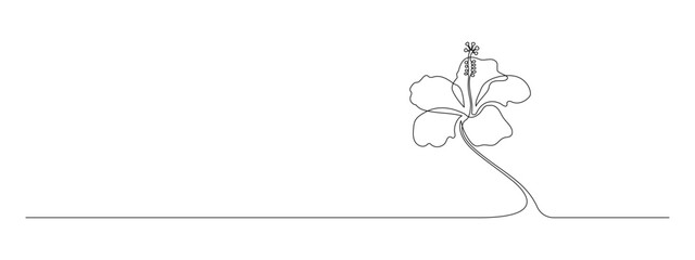 One continuous line drawing of hibiscus flower. Floral abstract symbol in simple linear style. Organic red herbal tea concept in editable stroke. Monoline vector illustration © Olga Rai