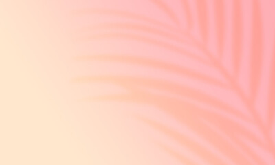 ヤシの葉の影。南国の雰囲気を感じる夏の背景素材。