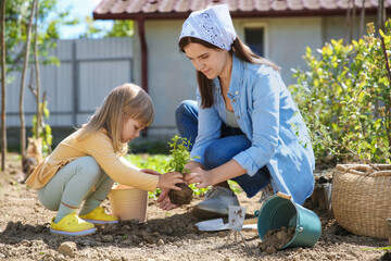 Mother and her cute daughter planting tree together in garden