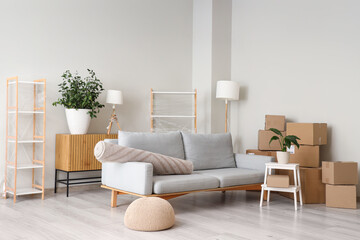 Cardboard boxes and furniture prepared for house moving in living room