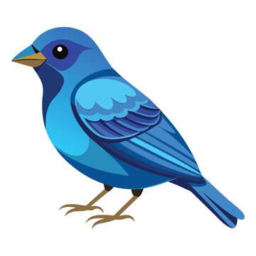 recommend clip art: indigo bunting  isolated on white background