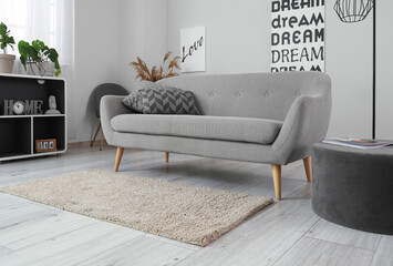 Interior of modern living room with comfortable sofa and stylish furniture