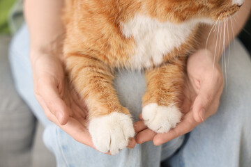 Young woman with cute red cat at home, closeup