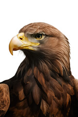 Obraz premium Isolated PNG Eagle Bird, GENERATIVE AI