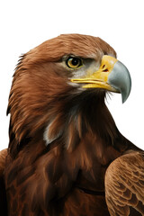 Obraz premium Isolated PNG Eagle Bird, GENERATIVE AI