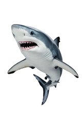 Isolated PNG Shark Fish, GENERATIVE AI