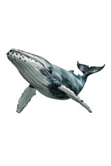 Fototapeta premium Isolated PNG Whale Fish, GENERATIVE AI