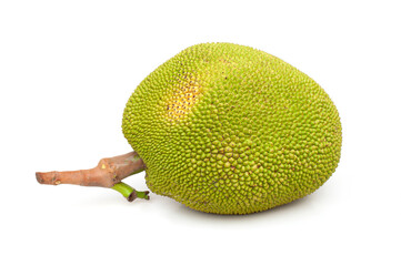 Jackfruit isolated on white background. Tropical fruit with a thick white sap, sweet taste, large...
