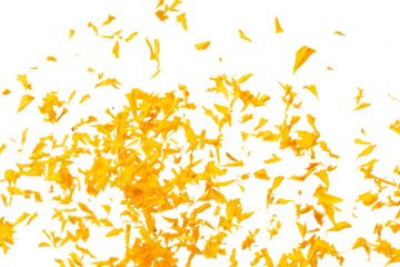 Yellow Marigold petals falling romantic white background isolated with yellow marigold flower petals flying. Religious floral spring season, ritual invitation yellow marigold petals in mid air