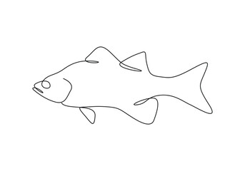 Obraz premium Sea bass fish continuous one line drawing vector illustration. Pro vector