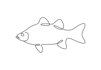 Sea bass fish continuous one line drawing vector illustration. Pro vector